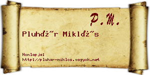 Pluhár Miklós névjegykártya